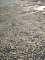 Παραλία Αλυκή (Νάουσα) - Πάρος Παραλίες