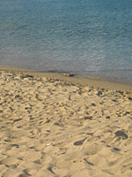 Παραλία Λογαράς - Πάρος Παραλίες